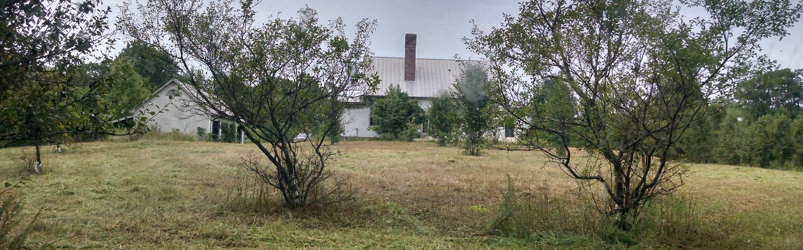 Land Clearing